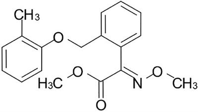 The Disappearance Behavior, Residue Distribution, and Risk Assessment of Kresoxim-Methyl in Banana (Musa nana Lour.) Based on a Modified QuEChERS Procedure Using HPLC-MS/MS